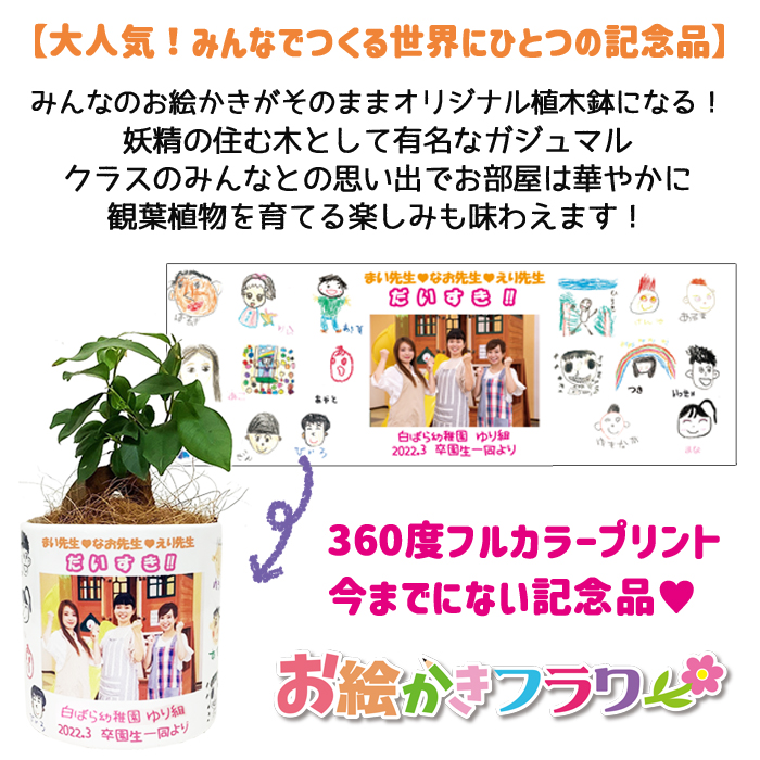 お絵かきフラワー　ガジュマル（大）