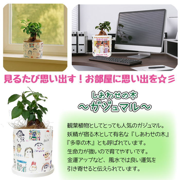 お絵かきフラワー　ガジュマル（大）